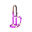 Vibrant purple Weaver Equine Breakaway Horse Halter with 1-inch nylon webbing and a dark brown leather safety crownpiece. This high-quality horse tack features gold-tone brass hardware, an adjustable chin strap, and a convenient throat snap. A durable and safe choice for any equestrian, combining bold color with practical functionality for daily turnout and grooming.