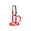 Weaver Equine Breakaway Horse Halter in vibrant red 1-inch nylon with a dark brown leather breakaway crown piece. This durable equestrian tack features gold-tone brass hardware, including an adjustable chin strap and a convenient throat snap for a custom fit. Perfect for daily turnout and horse safety, this stylish red halter combines reliability with premium Weaver quality.