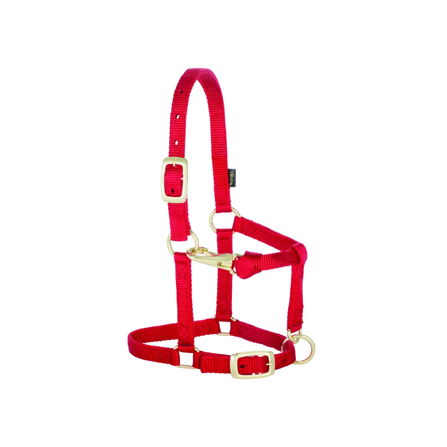 Red Weaver Equine miniature horse adjustable halter crafted from durable 5/8" nylon. Features gold-tone hardware, a convenient throat snap for easy on/off, and adjustable buckles on both the crown and noseband for a perfect fit. Ideal for mini horses, this vibrant red halter combines style and utility for daily barn use or showing.