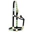 Weaver Equine Nylon Horse Halter featuring a desert-inspired green cactus pattern on cream webbing with durable black double-ply nylon. This high-quality adjustable halter is accented with premium gold-tone brass hardware and includes a throatlatch snap for ease of use. A stylish and functional addition to any equestrian's horse tack collection, perfect for daily wear or travel.