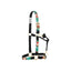 Weaver Equine Nylon Horse Halter featuring a vibrant southwestern ikat pattern in teal, orange, and white. This durable double-ply nylon halter includes high-quality brass-plated hardware, an adjustable crown, and a throat snap for easy on and off. A stylish and functional piece of horse tack, perfect for daily use or travel, designed for comfort and long-lasting performance.
