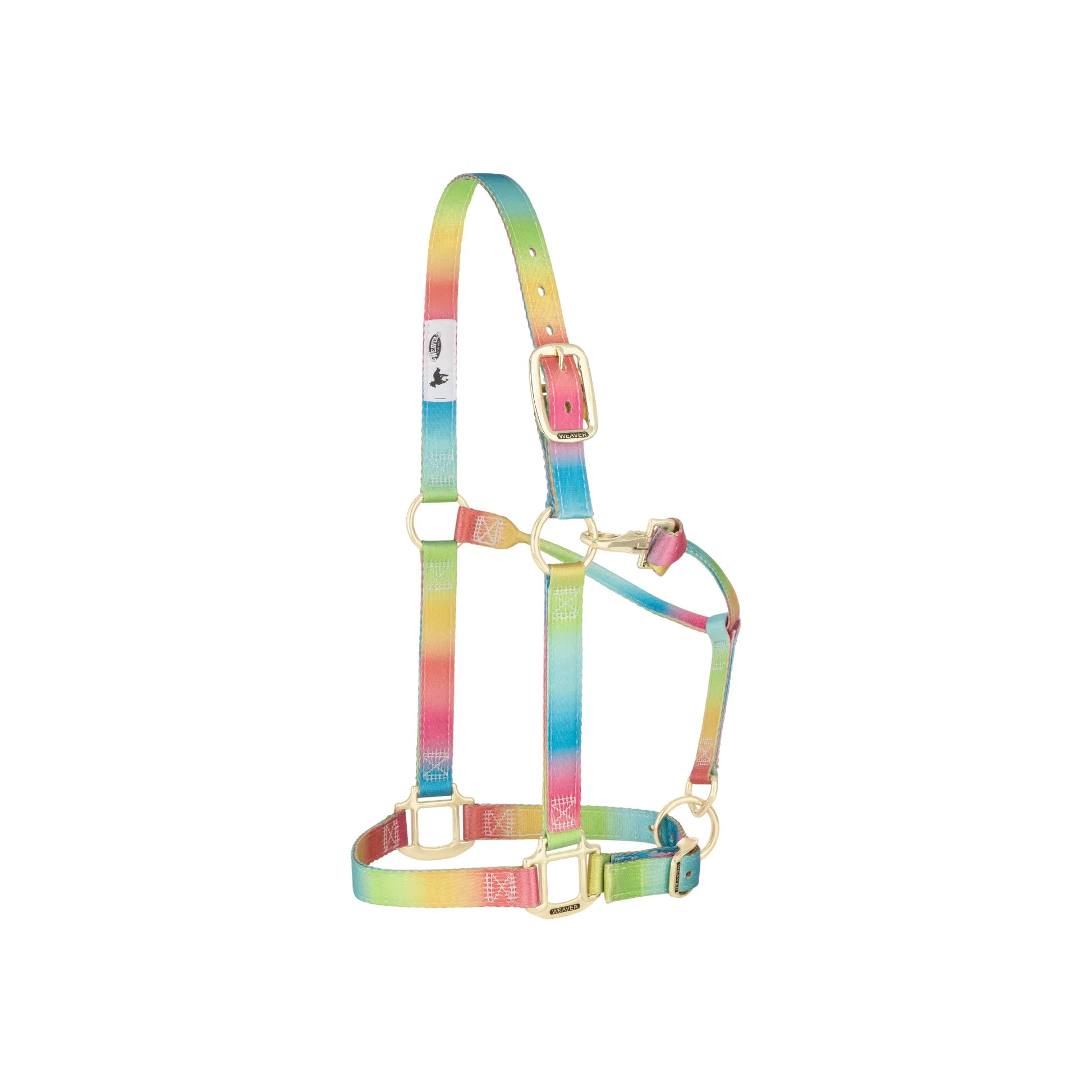Weaver Equine Nylon Horse Halter in a vibrant rainbow watercolor pattern with gold-toned brass hardware. This high-quality, double-ply nylon webbing halter features an adjustable crown strap and throat latch snap for a secure fit. A stylish and durable piece of equestrian tack perfect for any horse owner looking for colorful, comfortable gear.