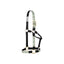 Weaver Equine Nylon Horse Halter featuring a trendy mint green cactus and desert pattern on beige overlays. Crafted with durable black double-ply webbing and sturdy brass-plated hardware, this non-adjustable halter combines comfort and Western style. Ideal for daily barn use or horse shows, this patterned halter is a functional and stylish addition to any equestrian's tack room.