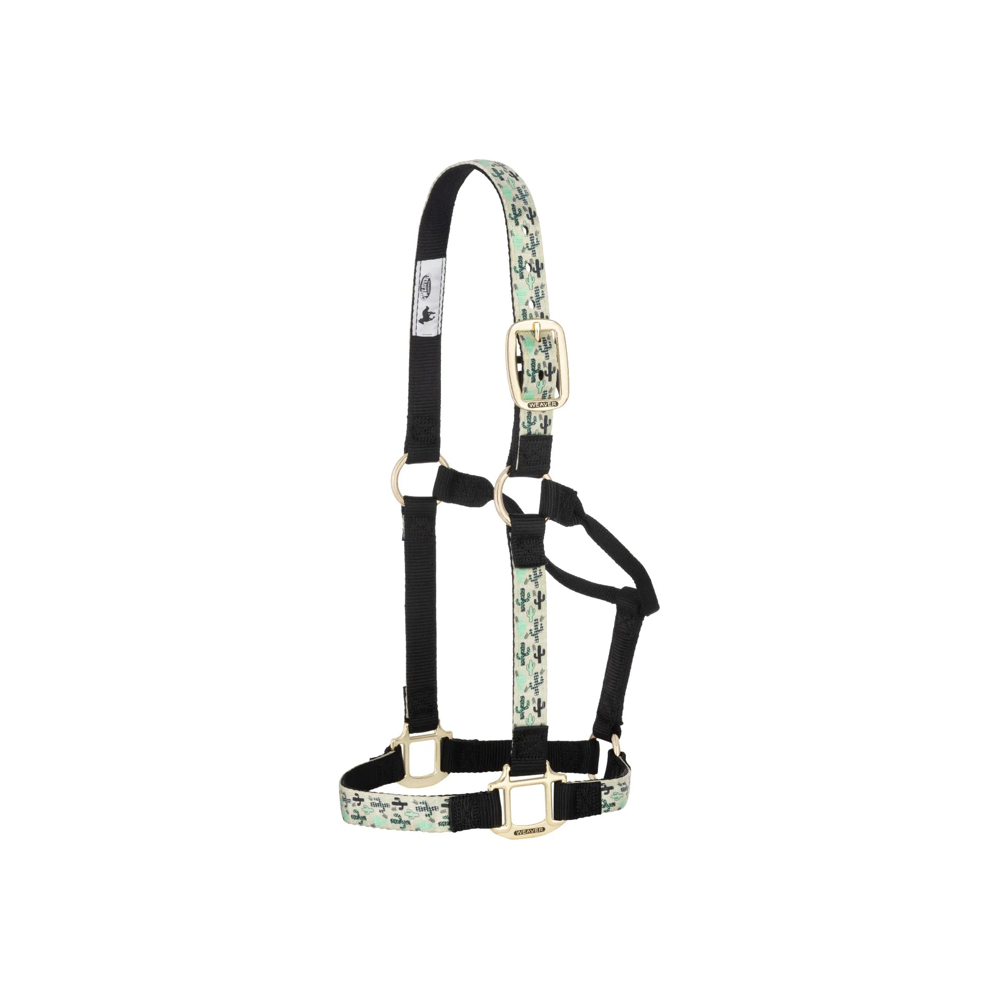 Weaver Equine non-adjustable nylon horse halter featuring a stylish mint green and white cactus pattern overlay on durable black double-ply webbing. Equipped with high-quality brass hardware, this comfortable and sturdy halter is perfect for everyday barn use or showing off your horse's personality. A must-have piece of fashionable equestrian gear for horse owners and riders.