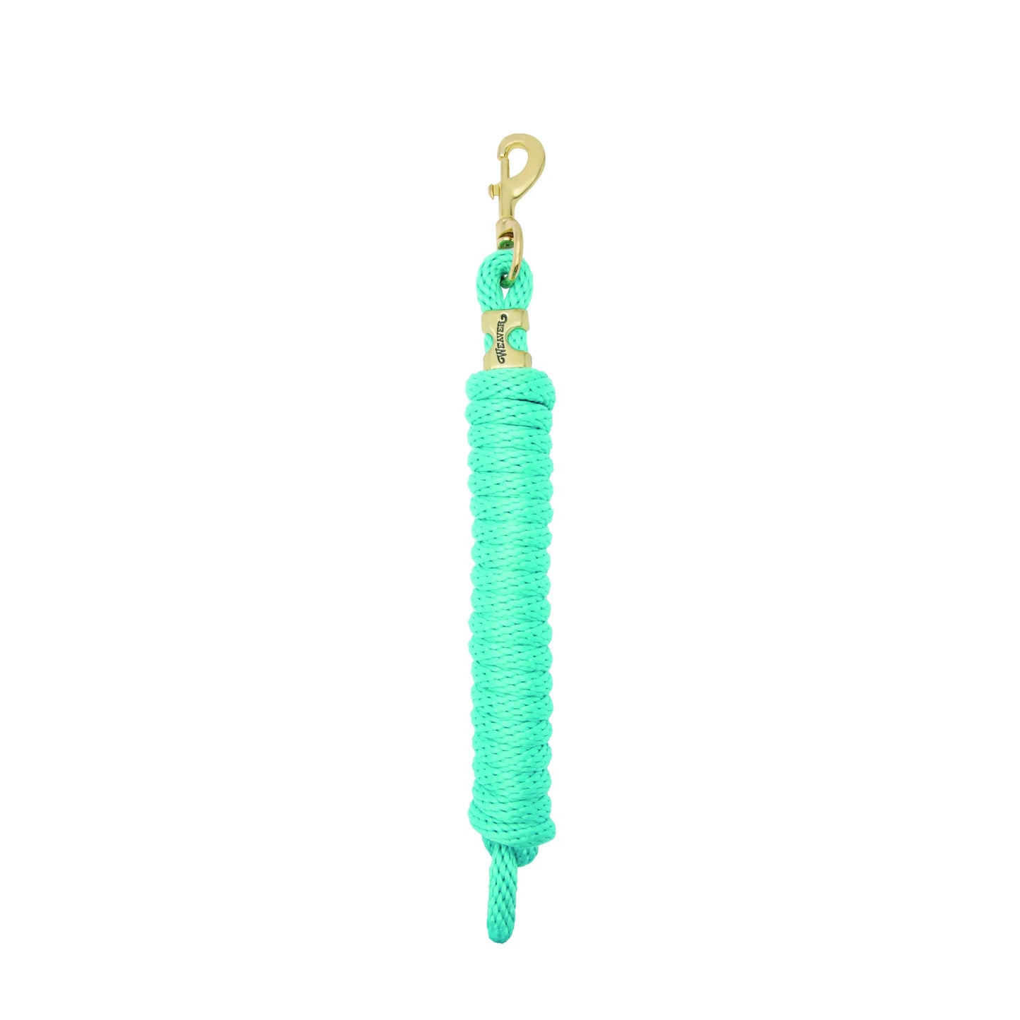 Mint green Weaver Equine Performance Lead Rope featuring a durable, comfortable braided design. This high-quality horse lead rope includes a solid brass bolt snap and a gold-colored Weaver brand tag for a touch of style. An essential piece of equestrian gear for daily horse care, turnout, and training, combining reliability and comfort for horse owners and riders.