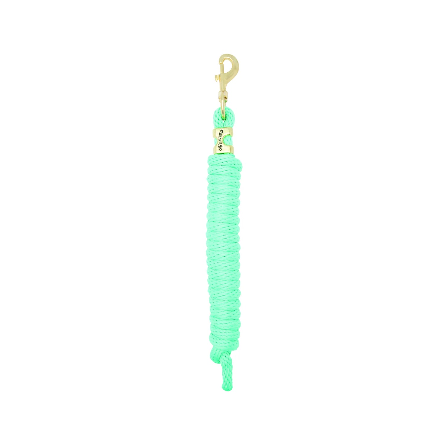 Mint green Weaver Equine Performance Lead Rope featuring a durable braided poly construction and a solid brass-plated bolt snap. This comfortable horse lead rope provides a secure grip for training and daily handling. A high-quality piece of equestrian tack designed for long-lasting performance and vibrant style in the barn or at horse shows.