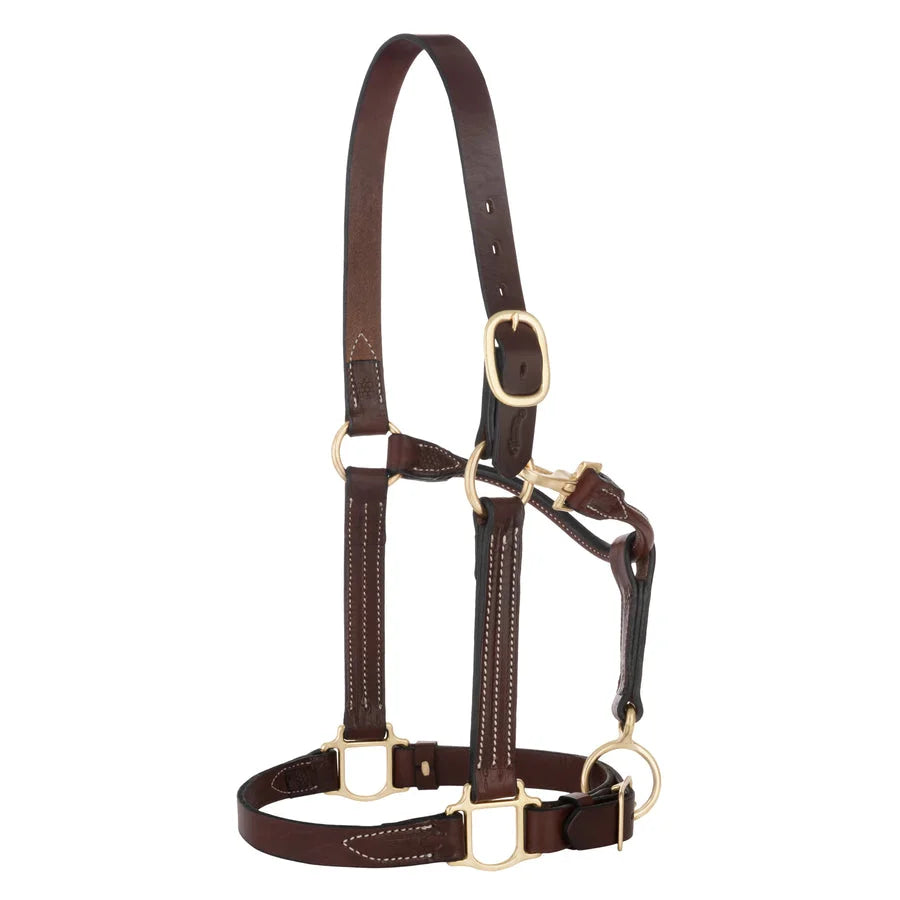 Weaver Leather 13-in-1 All Purpose Versatile Horse Halter for Training and Daily Use - Medium Horse