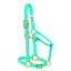 Weaver Leather Adjustable Nylon Horse Halter in vibrant turquoise aqua with brass-plated hardware. This triple-ply equestrian halter features an adjustable crown and noseband for a comfortable fit, a quick-action throat snap, and heavy-duty construction. Perfect, high-quality horse tack for everyday use, grooming, and training. Fits average-sized horses 800-1100 lbs.