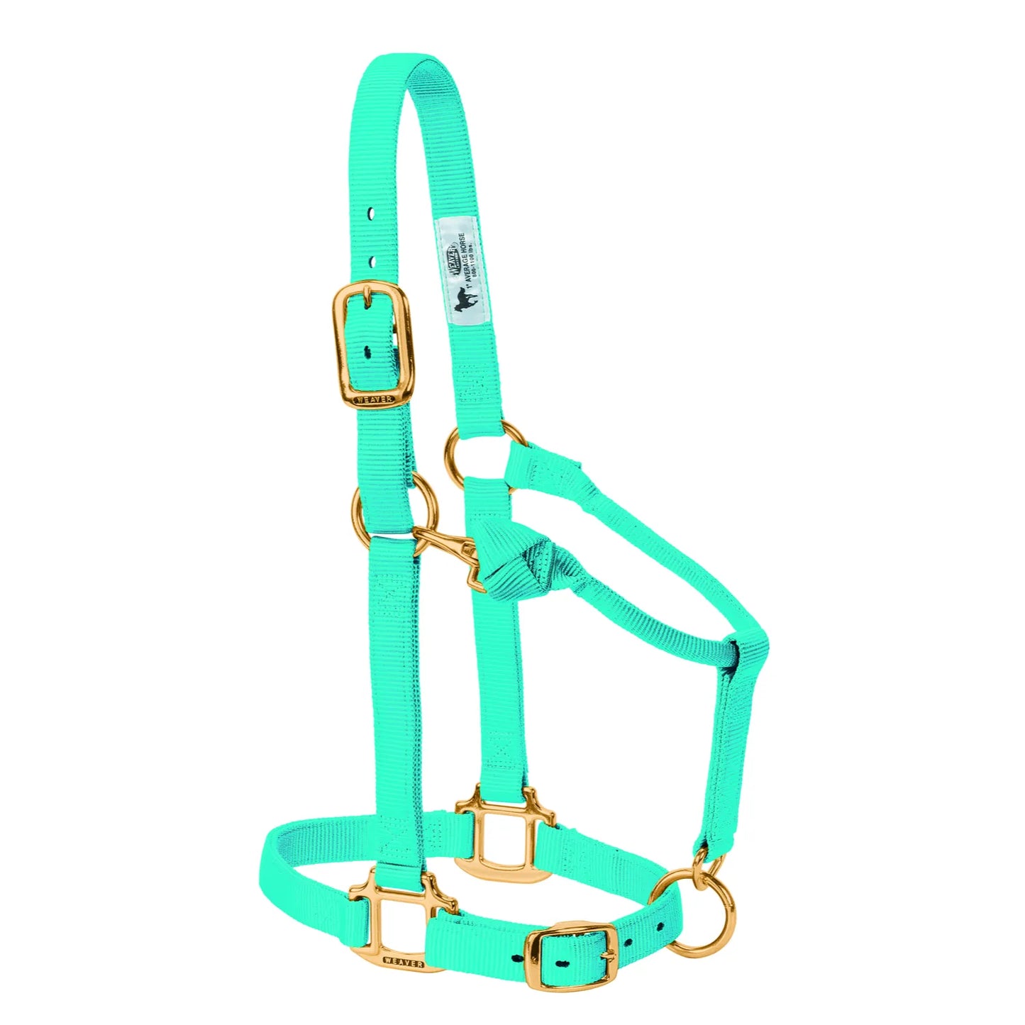 Weaver Leather Adjustable Nylon Horse Halter in vibrant turquoise aqua with brass-plated hardware. This triple-ply equestrian halter features an adjustable crown and noseband for a comfortable fit, a quick-action throat snap, and heavy-duty construction. Perfect, high-quality horse tack for everyday use, grooming, and training. Fits average-sized horses 800-1100 lbs.