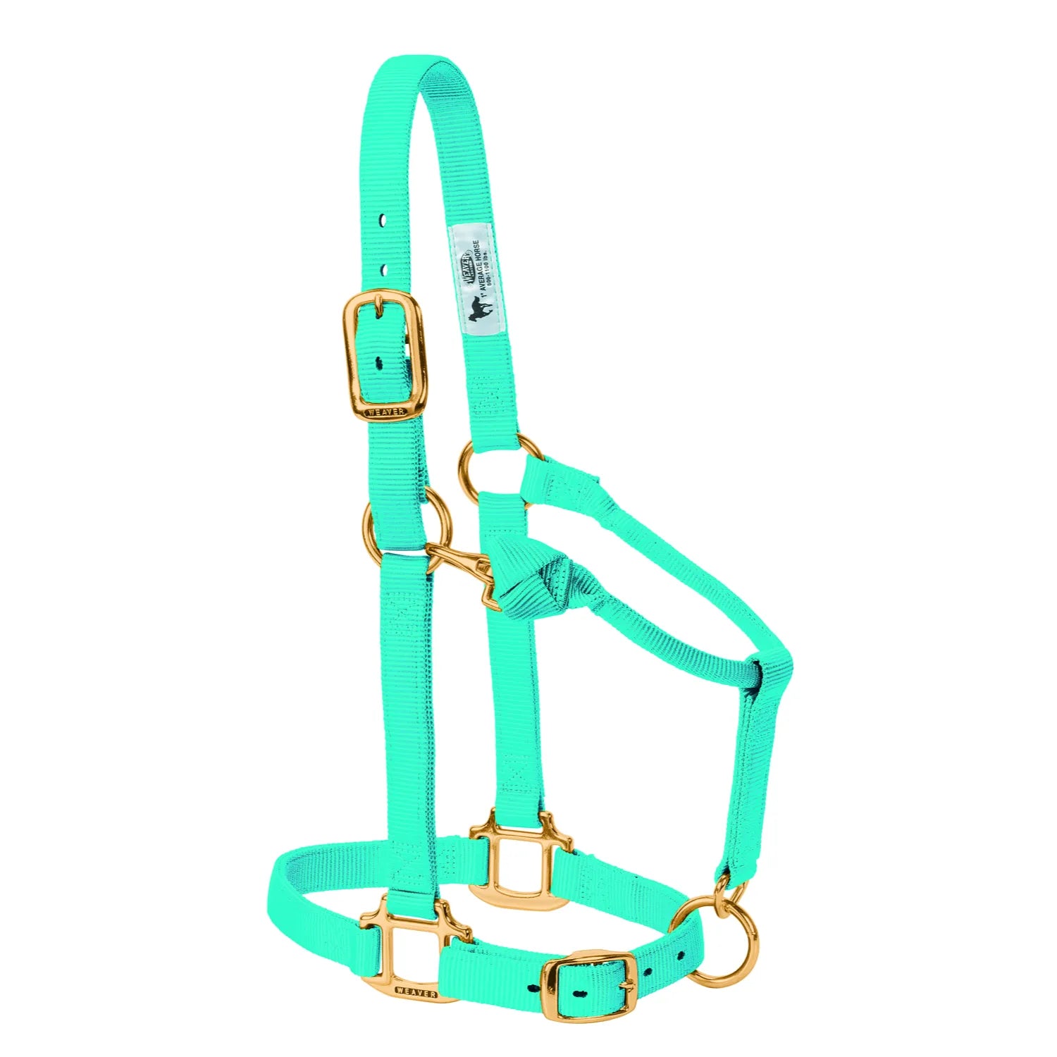 Weaver Leather Adjustable Nylon Horse Halter in vibrant turquoise aqua with brass-plated hardware. This triple-ply equestrian halter features an adjustable crown and noseband for a comfortable fit, a quick-action throat snap, and heavy-duty construction. Perfect, high-quality horse tack for everyday use, grooming, and training. Fits average-sized horses 800-1100 lbs.