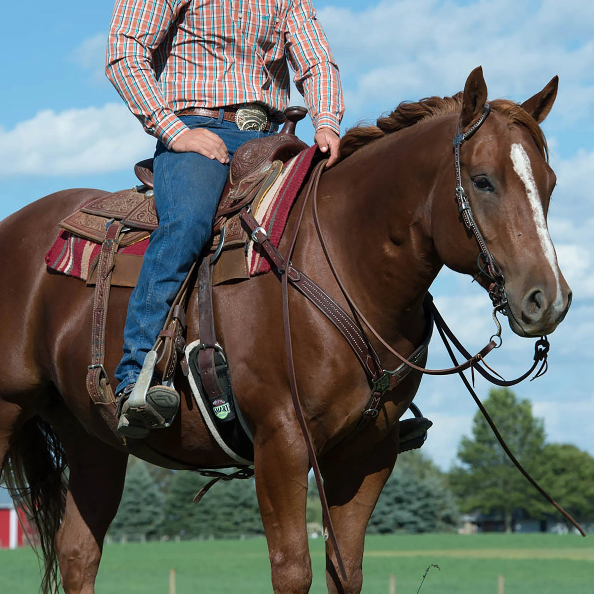 Weaver Leather Austin Flat Sliding Ear Headstall