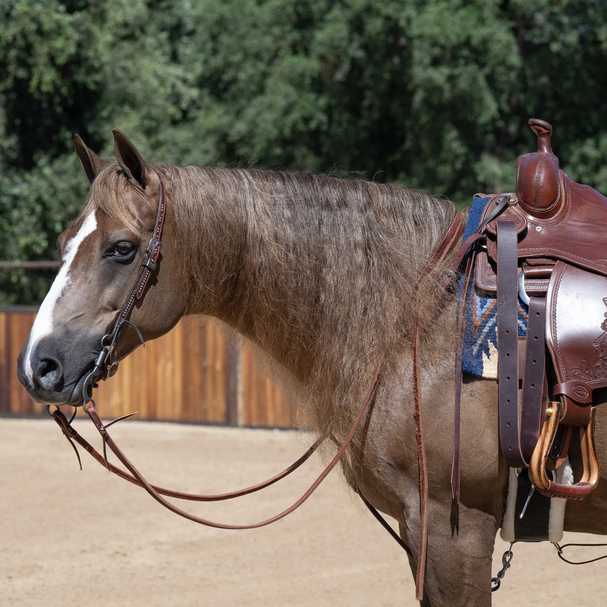 Weaver Leather Austin Flat Sliding Ear Headstall