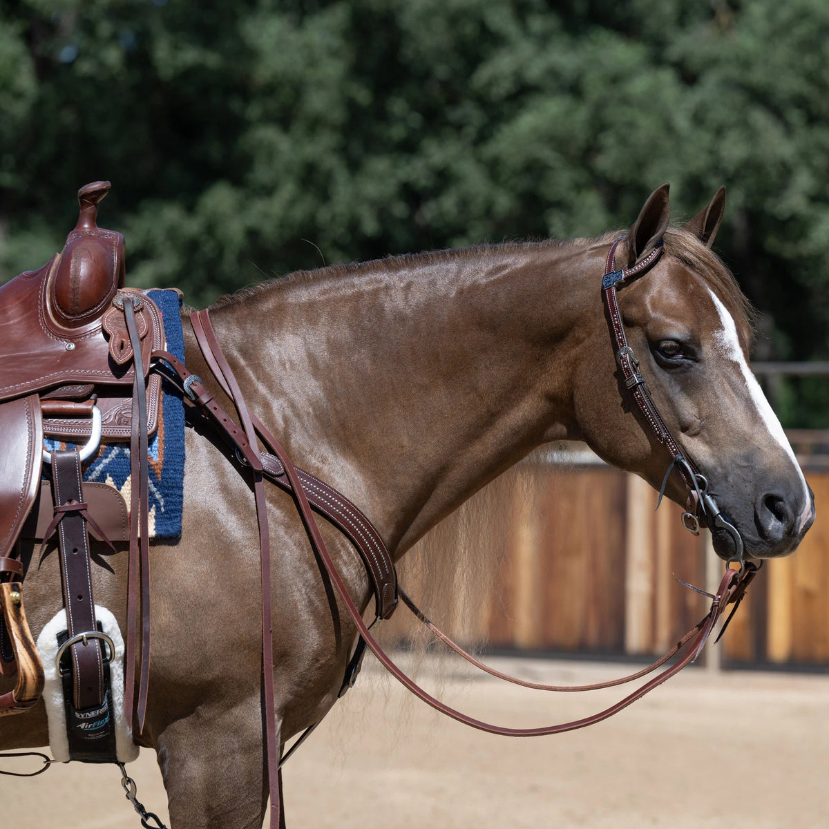 Weaver Leather Austin Flat Sliding Ear Headstall