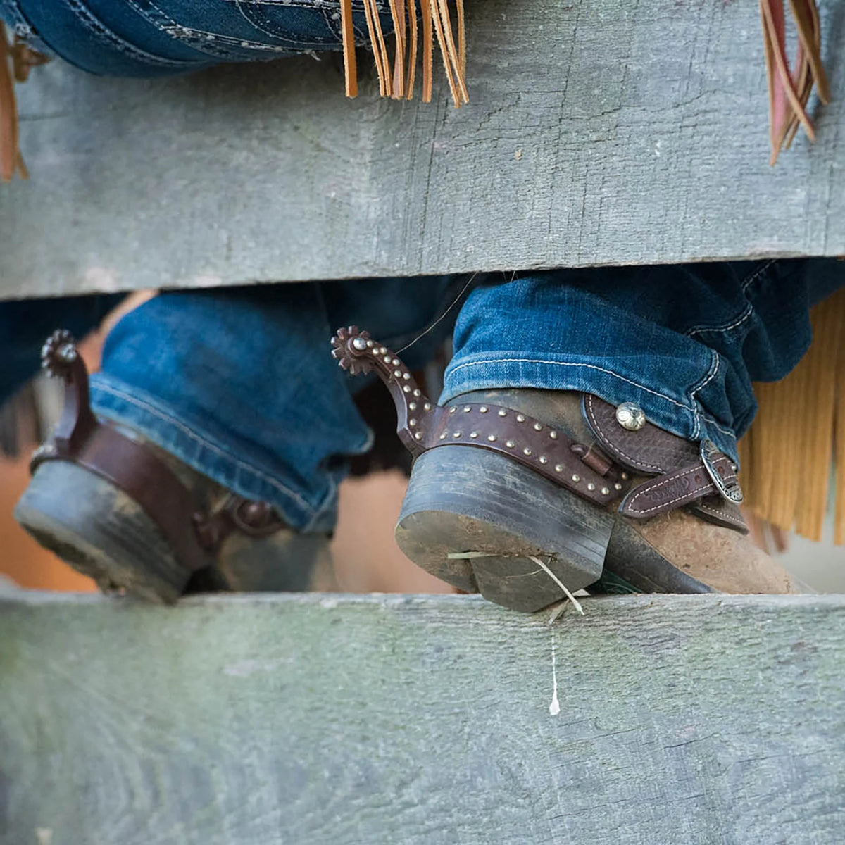 Weaver Leather Basin Cowboy Spur Straps, Cowboy
