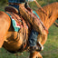 Weaver Leather Basin Cowboy Spur Straps, Cowboy