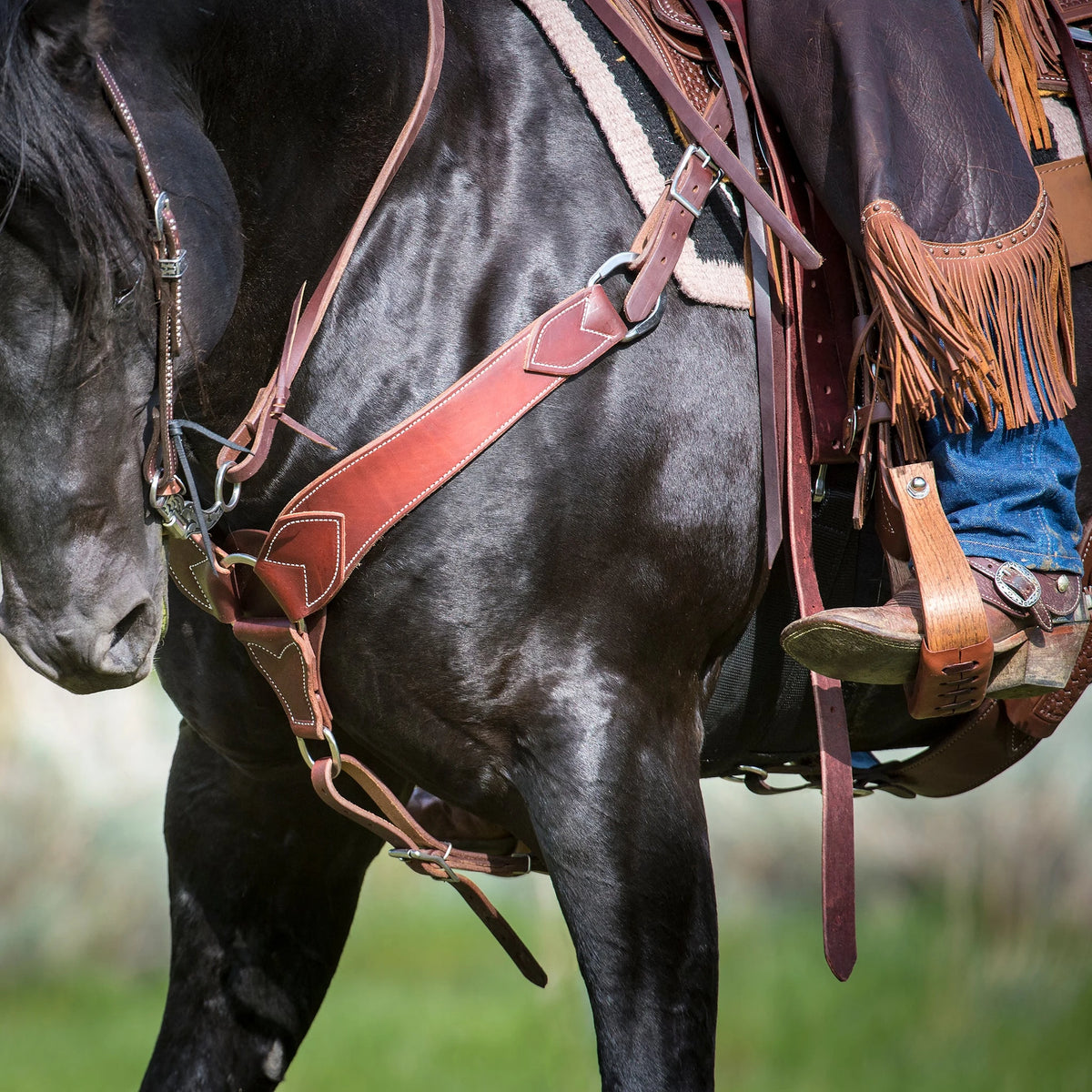 Weaver Leather Basin Cowboy Spur Straps, Cowboy