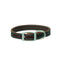 Weaver Leather brown bridle leather dog collar with vibrant teal blue double-row stitching. This high-quality straight collar features a durable silver-toned metal buckle and a D-ring with the Terrain D.O.G. logo. Perfect for active pets, this heavy-duty leather collar offers a stylish blend of rustic charm and rugged performance for dogs of all sizes.