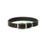 Terrain D.O.G. brown bridle leather dog collar by Weaver Leather, featuring three rows of vibrant teal accent stitching. This durable straight collar includes a matte silver-finish buckle and a matching D-ring engraved with the brand logo. Crafted for strength and style, this high-quality leather accessory is perfect for active dogs and rugged outdoor adventures.