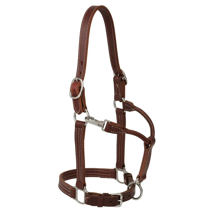 Weaver Leather Canyon Rose Ranch Horse Halter - 1-Inch Premium Harness Leather Working Tack
