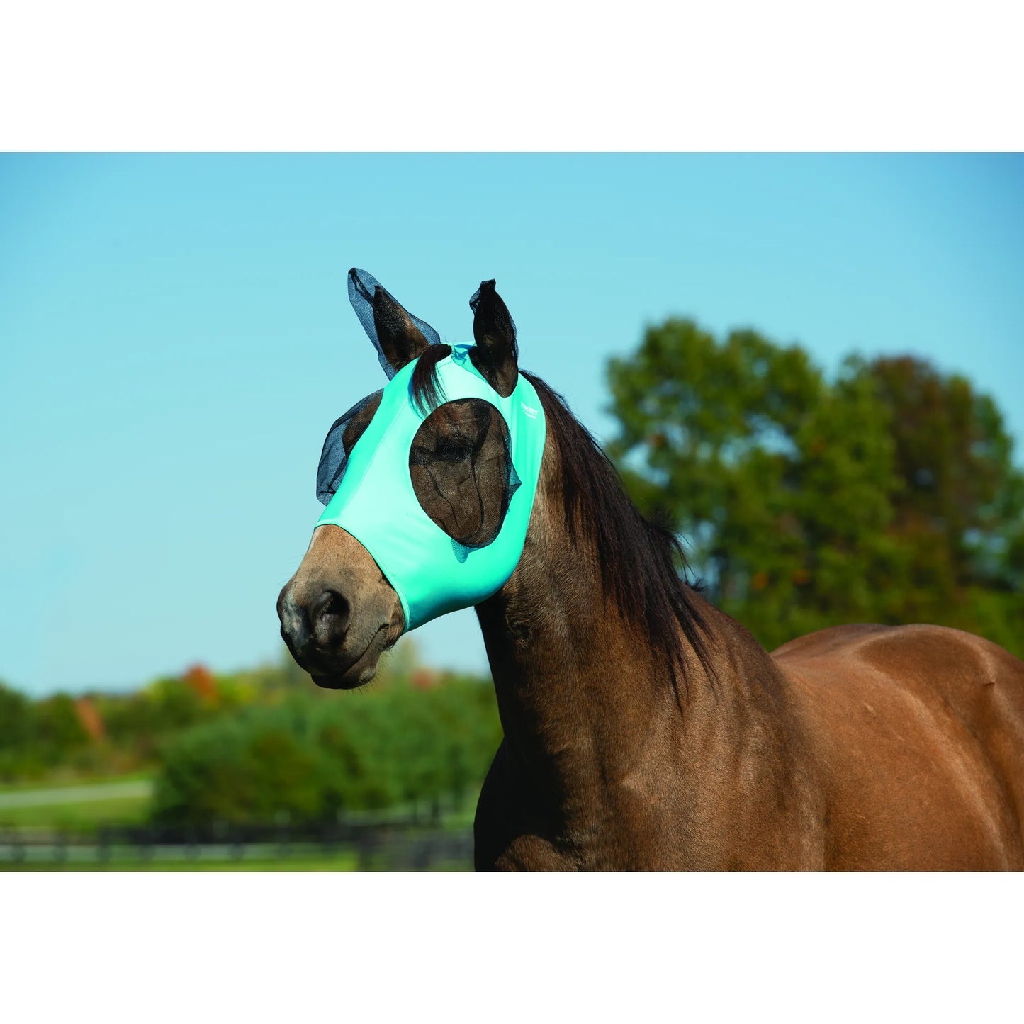 Weaver Leather Coolcore Fly Mask in vibrant mint green on a brown horse. This form-fitting horse fly mask features breathable mesh ears and eye covers, providing ultimate summer protection from flies and UV rays. A stylish and functional choice for equestrian pasture care, this stretchy, breathable mask ensures comfort and clear vision for your horse during sunny days.
