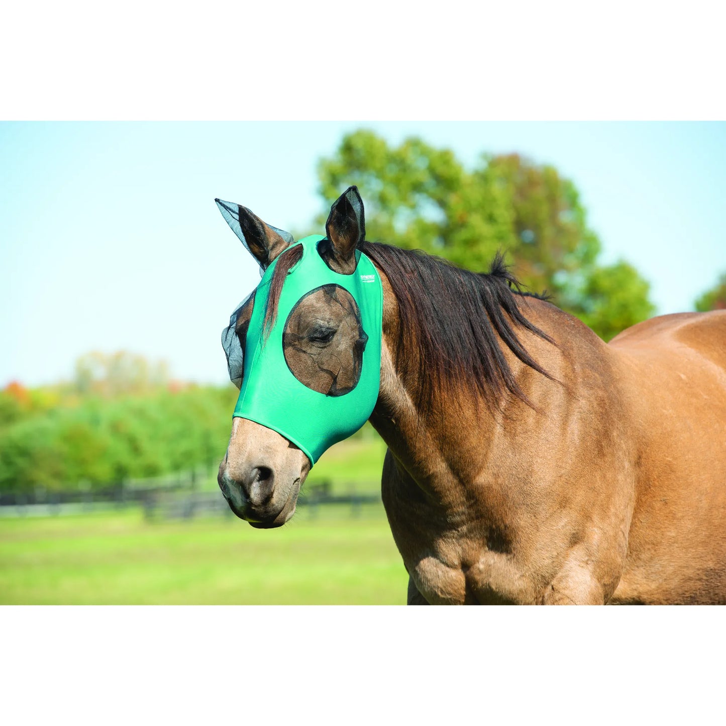 Weaver Leather Coolcore Fly Mask in vibrant green, expertly fitted on a brown horse. This high-performance equestrian accessory features breathable mesh ears and raised mesh eye covers for maximum comfort and bug protection. Perfect for summer turnout, this durable mask provides superior UV defense and cooling airflow. A stylish and functional solution for horse summer protection, shown in a lush green pasture on a sunny day.