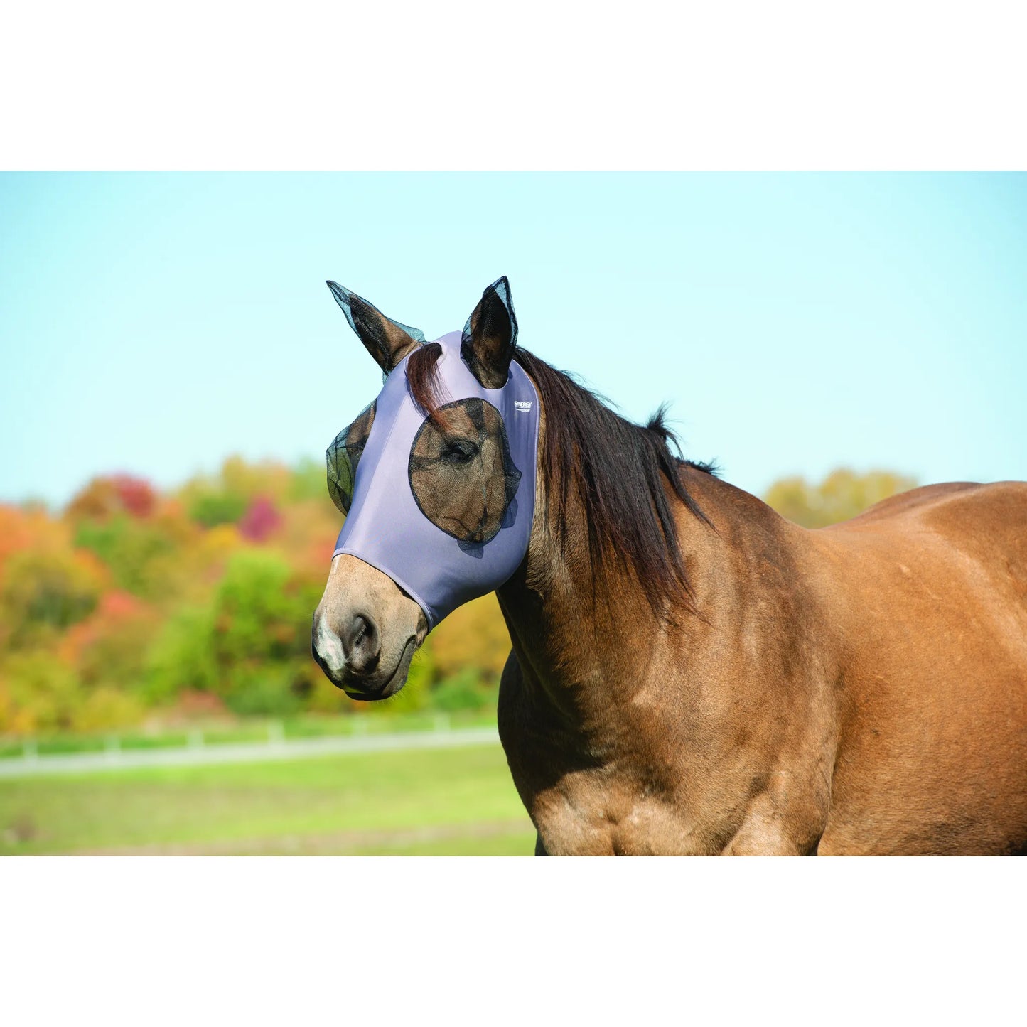 Weaver Leather Coolcore Fly Mask in light purple, providing ultimate horse summer protection. This breathable fly mask features black mesh over the eyes and ears for insect and UV protection. Constructed with moisture-wicking Coolcore fabric, it offers a secure, stretchy fit to keep your horse cool and comfortable in the pasture. A stylish and functional equestrian accessory for effective fly control and eye protection, shown on a bay horse in a field.