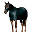Weaver Leather Cooling Lycra Horse Sheet - Breathable Moisture-Wicking Body Wrap