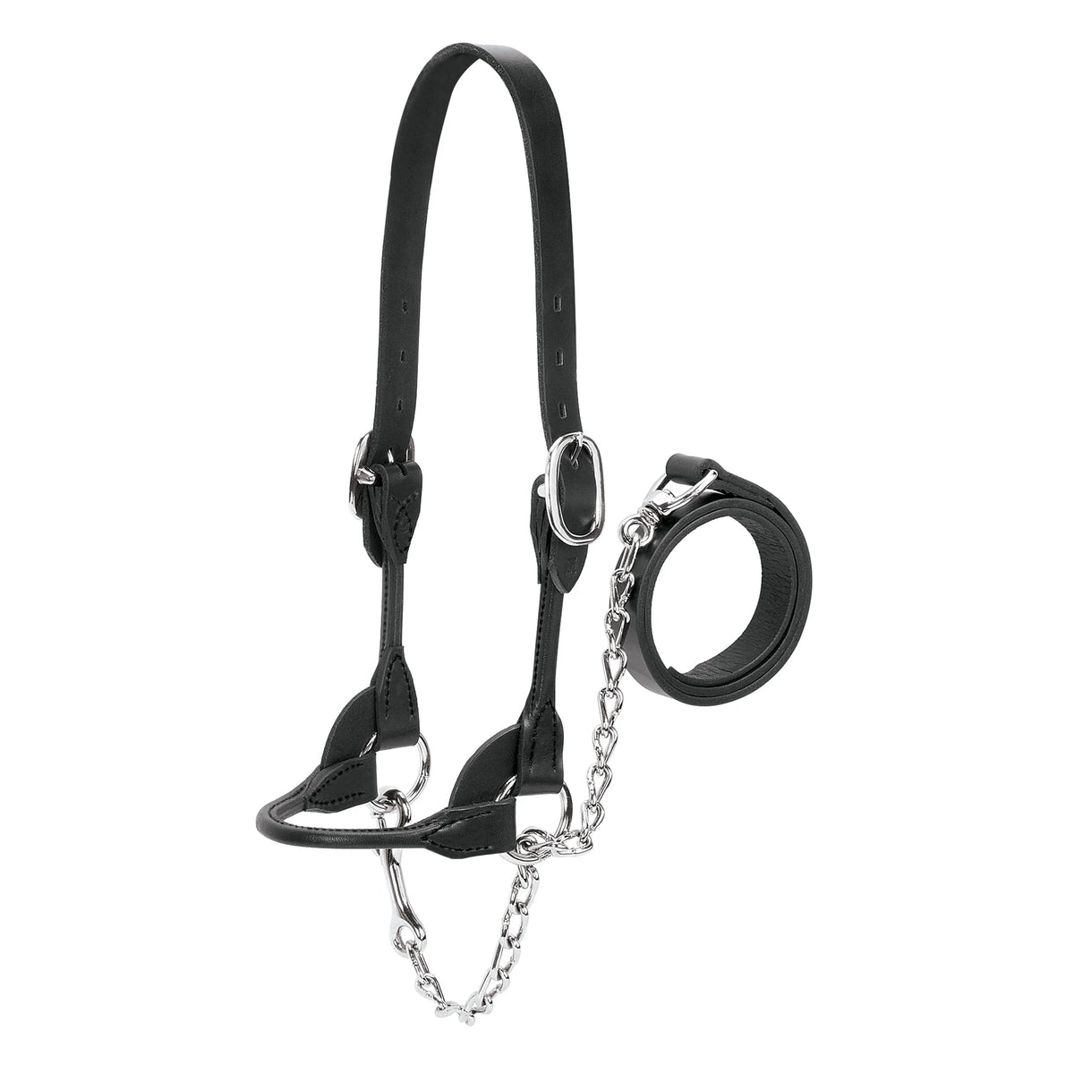 Weaver Leather Dairy/Beef Rounded Show Halter