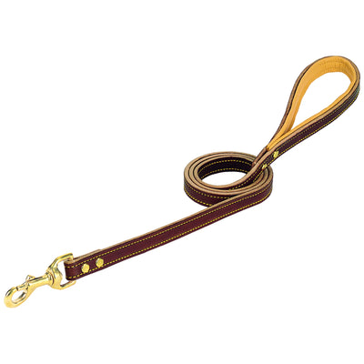 Weaver Leather Deer Ridge Leash in rich dark brown leather featuring a soft tan padded handle for ultimate walking comfort. This premium dog lead includes durable solid brass hardware, a swivel bolt snap, and stylish yellow contrast stitching. A heavy-duty yet elegant leather dog leash perfect for everyday walks, pet training, and outdoor adventures. Durable craftsmanship for dog owners who value quality, comfort, and classic style.