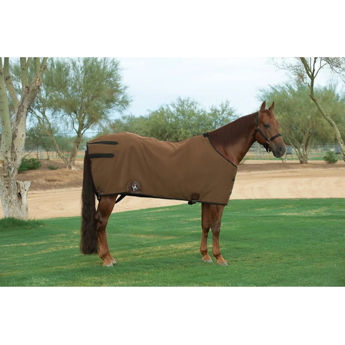 Weaver Leather Durable Canvas Horse Blanket - Brown/Black - Multiple Sizes