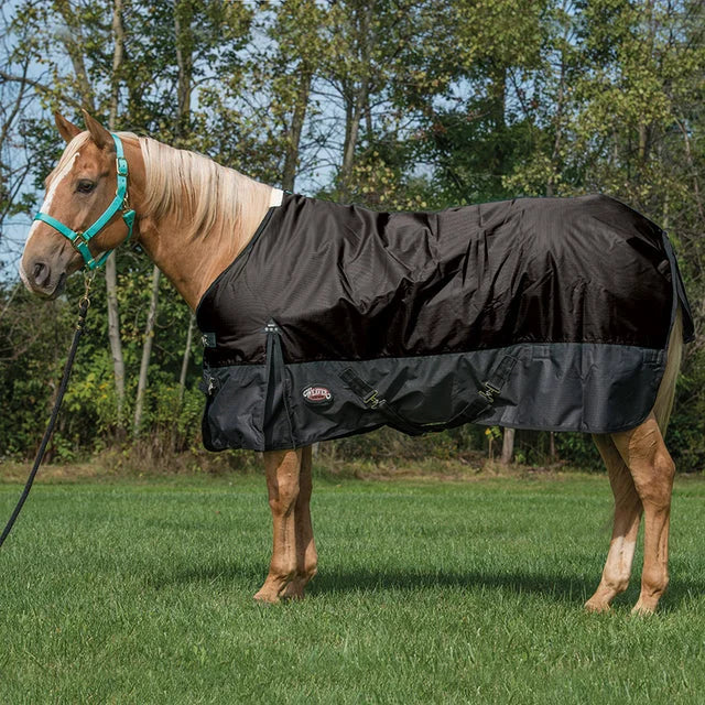 Weaver Leather Economy Horse Blanket - Durable Turnout Protection - Multiple Sizes