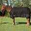 Weaver Leather Economy Horse Blanket - Durable Turnout Protection - Multiple Sizes