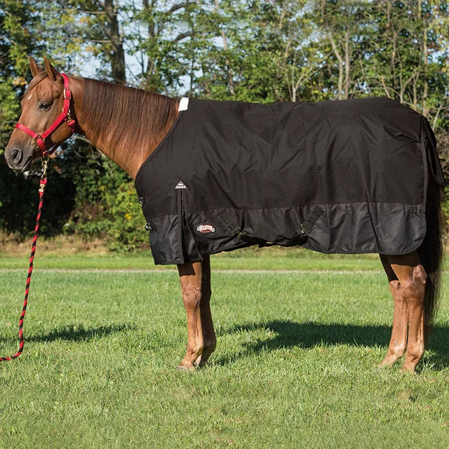 Weaver Leather Economy Horse Blanket - Durable Turnout Protection - Multiple Sizes