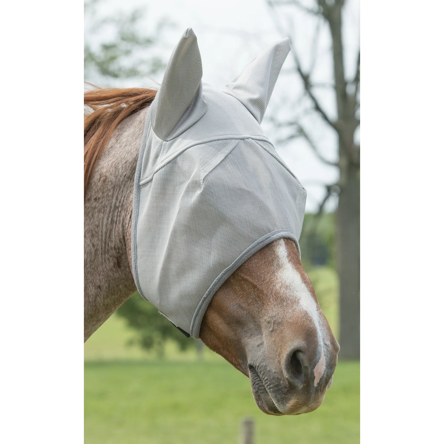 Grey Weaver Leather Fly Mask with Xtended Life Closure System shown on a roan horse in a grassy pasture. This durable horse fly mask features fine mesh for clear vision and protective ear covers to keep flies and insects away. Ideal for pasture turnout, it provides essential UV protection and comfort for your horse during fly season.