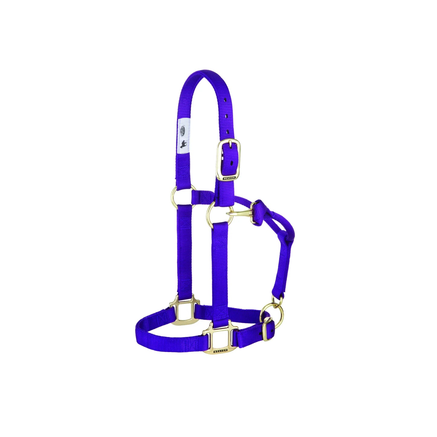 Weaver Leather purple nylon horse halter with premium brass-plated hardware. This adjustable horse halter features a buckled crown strap and chin strap for a secure, custom fit. Crafted from heavy-duty nylon webbing with reinforced stitching and heat-sealed holes for maximum durability. An essential piece of equine tack for grooming, leading, or trailering, combining vibrant color with reliable performance and comfort.