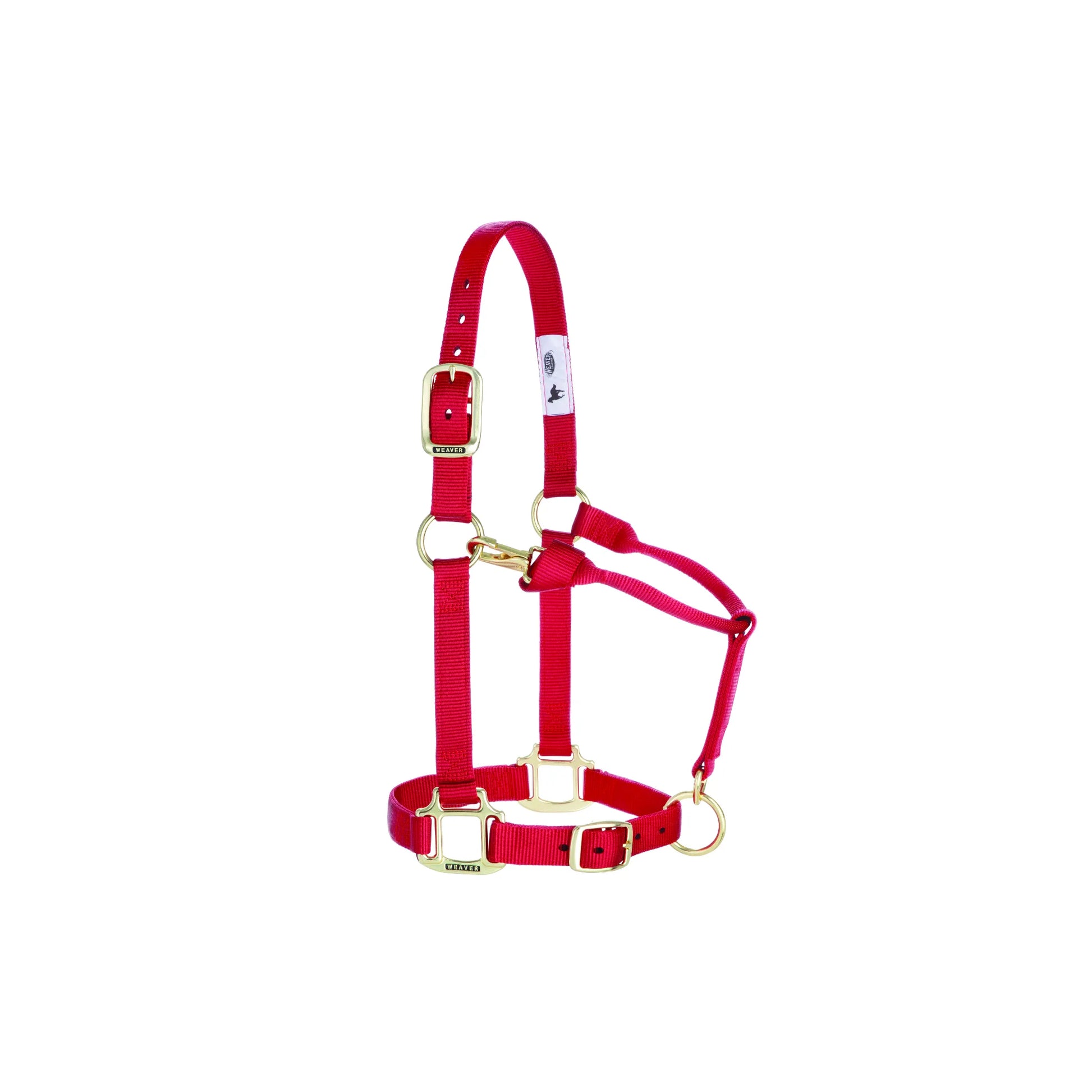 Vibrant red Weaver Leather horse halter crafted from high-quality, durable nylon webbing. Features adjustable crown and chin straps for a customized fit, a convenient throat snap, and elegant brass-plated hardware. This essential equestrian gear combines style and comfort, making it perfect for daily use, training, or travel. Durable and reliable horse halter for horse owners seeking quality and longevity.