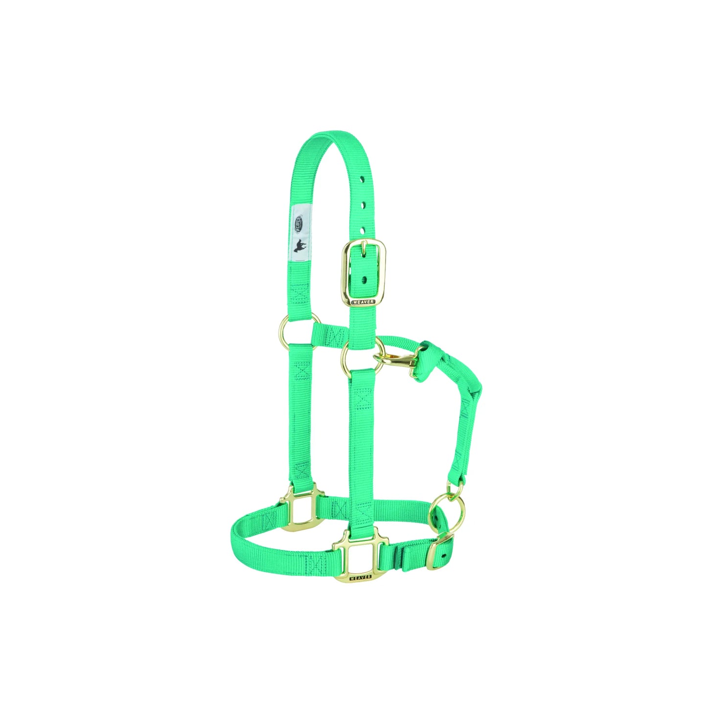 Weaver Leather mint green nylon horse halter with premium double-ply webbing and durable brass-plated hardware. This adjustable equestrian halter features a convenient throat snap and heat-sealed holes for a secure, custom fit. The vibrant seafoam green color adds a stylish touch to your horse tack collection, making it ideal for everyday barn use, training, or travel. High-quality construction ensures long-lasting performance and comfort for your horse.