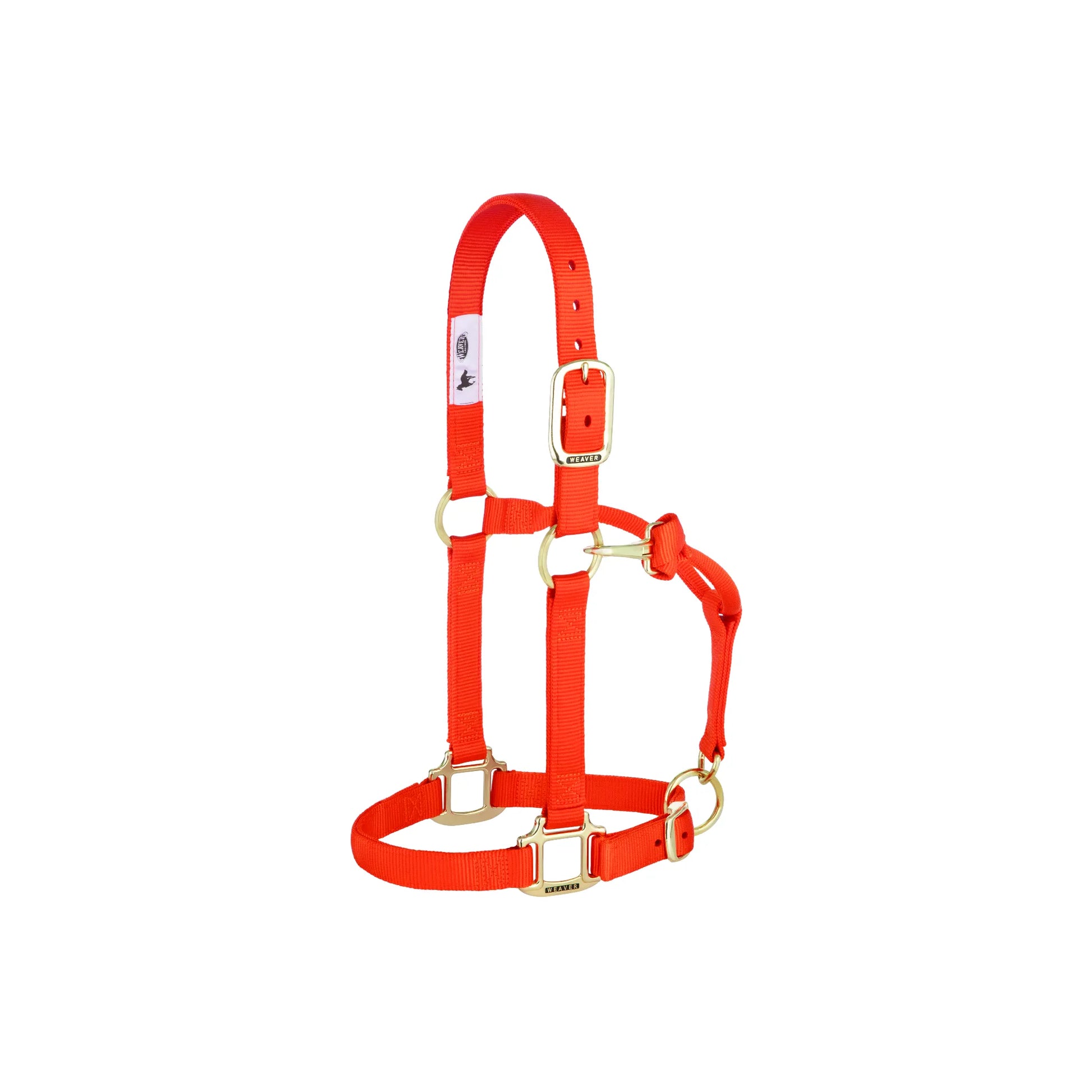 Weaver Leather neon orange nylon horse halter featuring durable construction and high-quality brass hardware. This adjustable halter includes a buckled crown strap, throat latch with snap, and engraved Weaver square rings for a secure fit. A vibrant and reliable choice for horse owners, perfect for turnout, training, or leading with style.