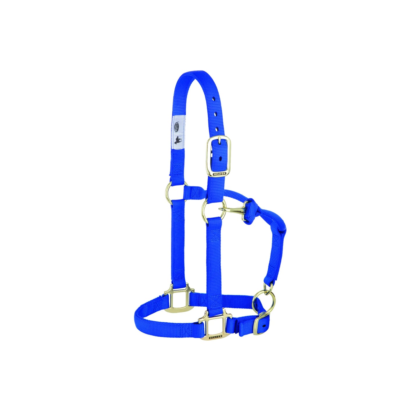 Bright blue Weaver Leather nylon horse halter featuring durable webbing and premium brass-plated hardware. This adjustable horse halter includes a buckled crown and chin strap for a secure, custom fit. Perfect for everyday barn use or equestrian training, this high-quality horse tack is designed for both comfort and long-lasting performance.