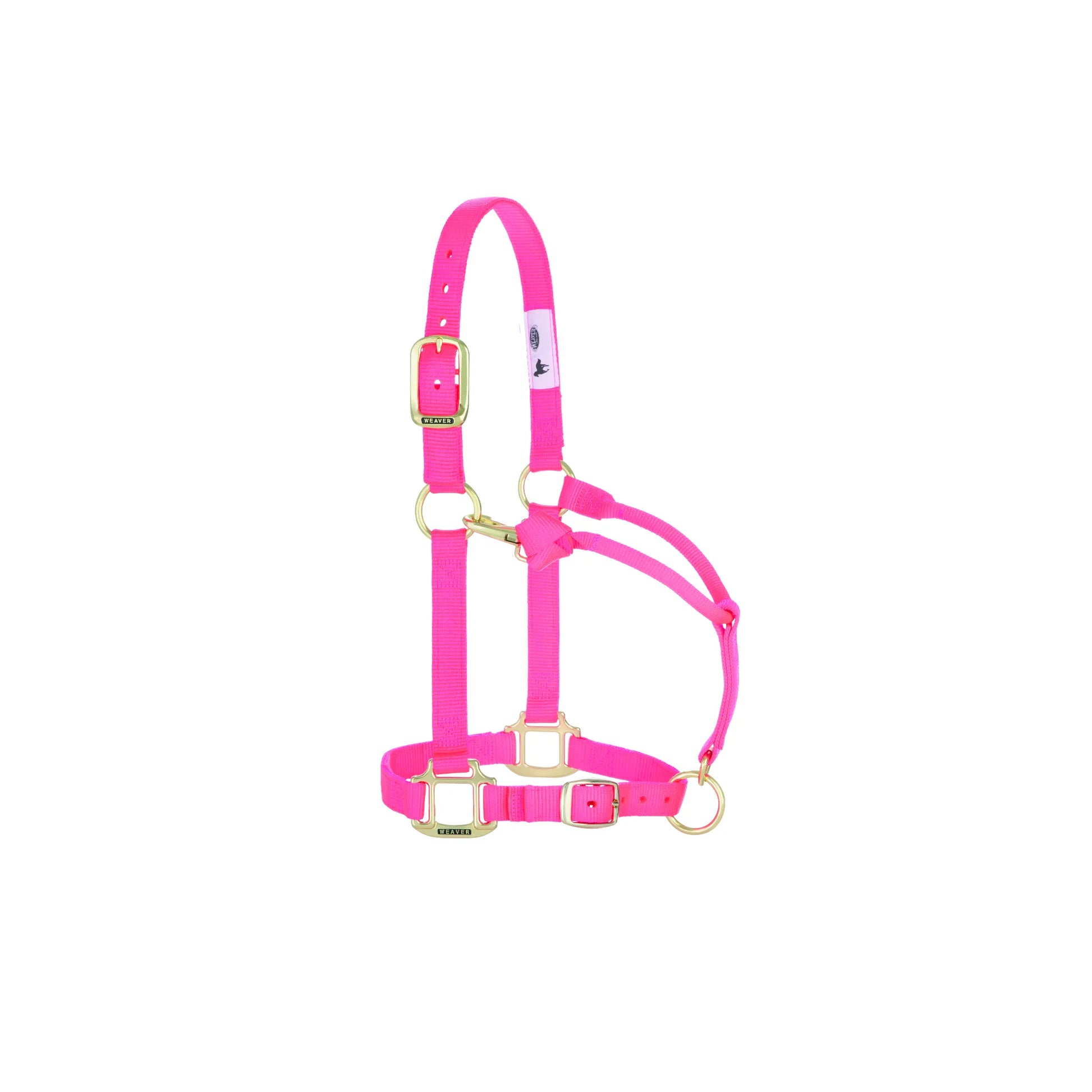 Vibrant hot pink Weaver Leather adjustable nylon horse halter featuring premium brass hardware. This durable equine tack includes a buckled crown and adjustable chin strap for a custom, comfortable fit. Perfect for adding a pop of color to your horse's gear while ensuring long-lasting performance in the stable or paddock.