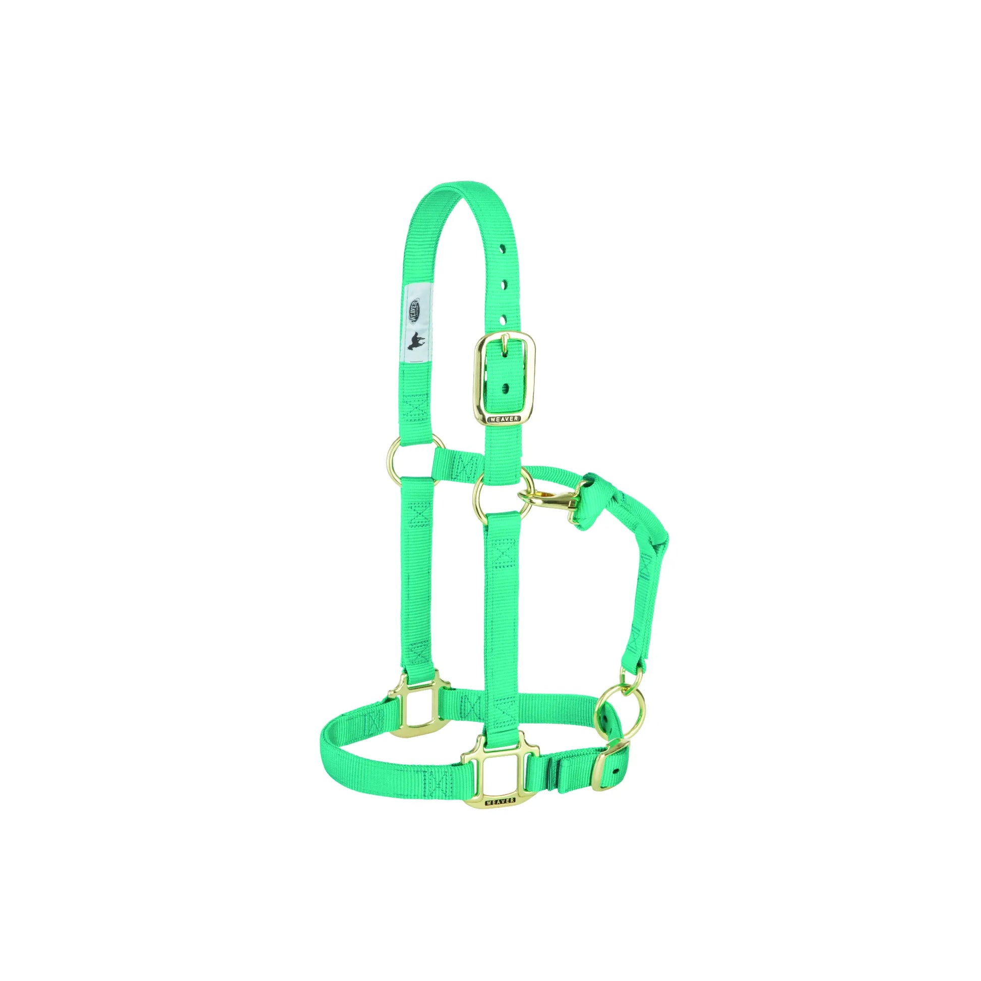 Weaver Leather adjustable nylon horse halter in a vibrant mint green with high-quality brass hardware. This durable equestrian accessory features a buckled crownpiece, reinforced stitching, and a throat latch snap for a secure fit. A stylish seafoam green tack piece perfect for training, turnout, and everyday horse care. Comfortable and built to last.