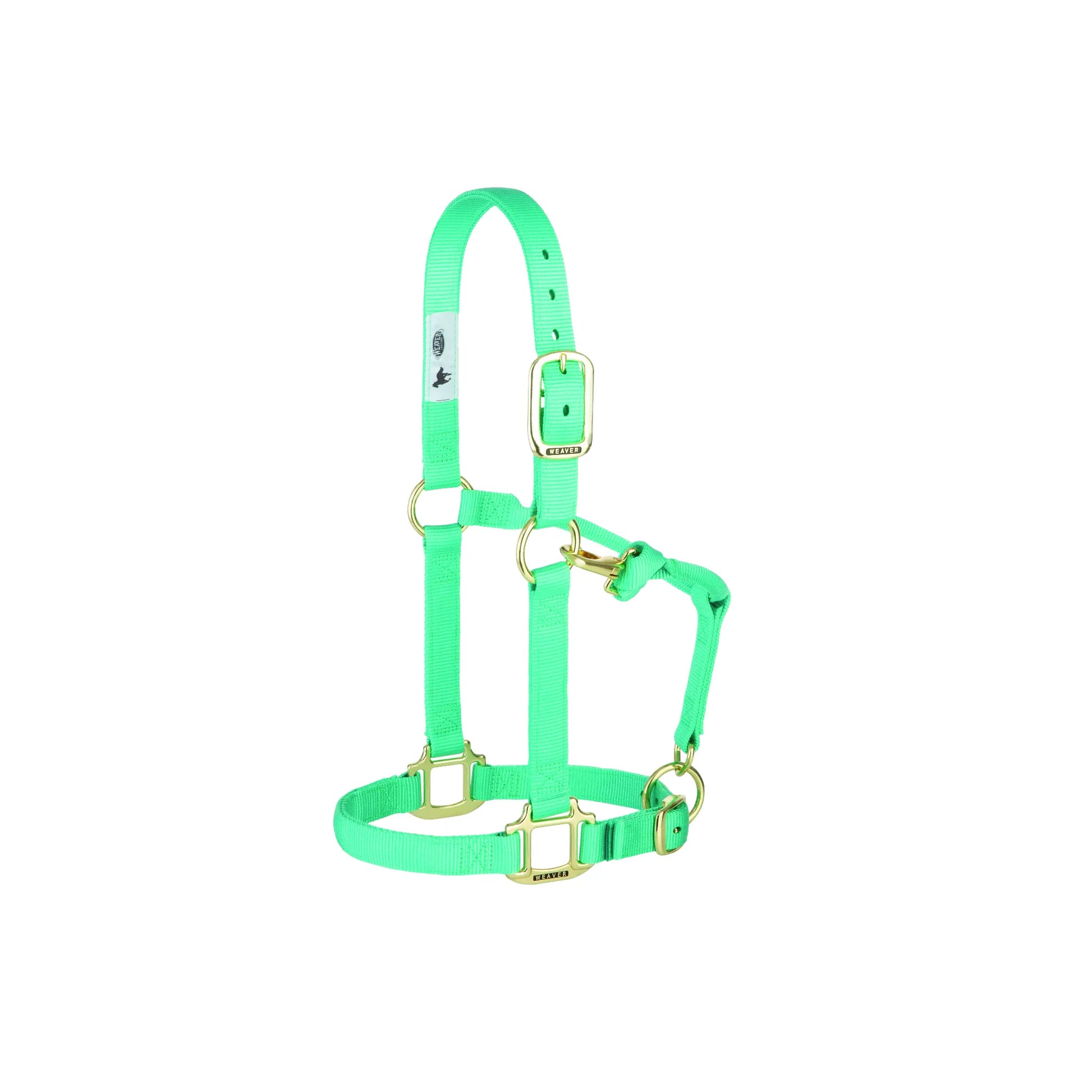Vibrant mint green Weaver Leather Horse Halter crafted from premium adjustable nylon for maximum comfort and durability. Featuring heavy-duty brass hardware, an adjustable crown, and a convenient throat snap, this high-quality equestrian headstall is perfect for grooming, training, or turnout. A stylish and reliable piece of horse tack for every rider's collection.