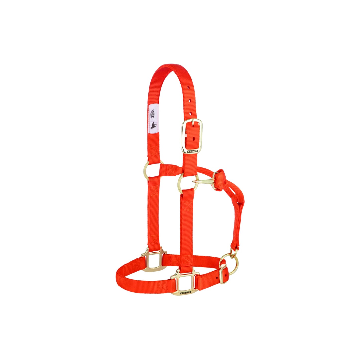 Bright orange Weaver Leather horse halter crafted from durable, double-stitched nylon with heavy-duty brass hardware. This adjustable horse halter features a convenient throat snap and heat-sealed holes for long-lasting use. Ideal for daily barn work or trail rides, this vibrant orange halter provides both style and security for your horse.