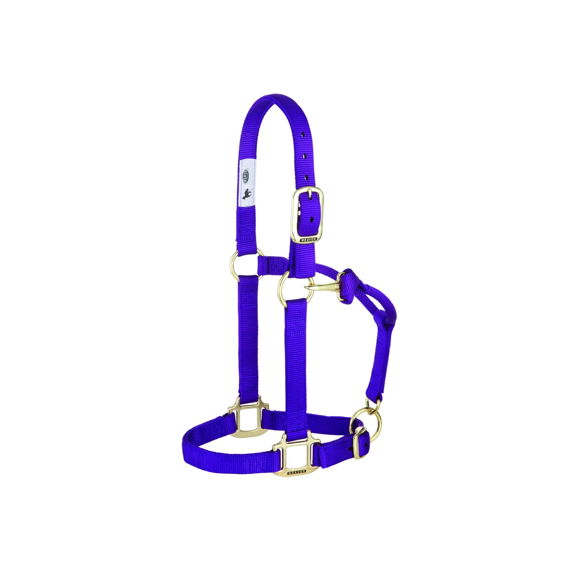 Weaver Leather Purple Adjustable Nylon Horse Halter with Solid Brass Hardware. This high-quality equestrian gear features a double-stitched design, rust-resistant brass buckles, and a convenient throat snap for a custom fit. Durable and comfortable for daily use, training, or turnout, this vibrant purple halter combines professional style with long-lasting reliability for your horse.
