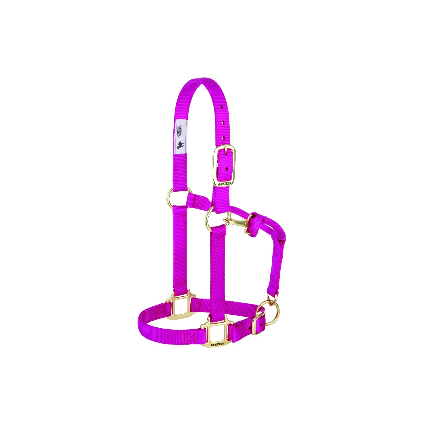 Bright pink Weaver Leather adjustable nylon horse halter featuring durable nylon webbing and brass-plated hardware. This high-quality equestrian gear includes heat-sealed buckle holes and reinforced stitching for long-lasting durability. A vibrant magenta headstall designed for horse comfort and style, perfect for everyday use, training, or showing. This professional-grade halter combines functionality with a bold pop of color for your horse's tack collection.
