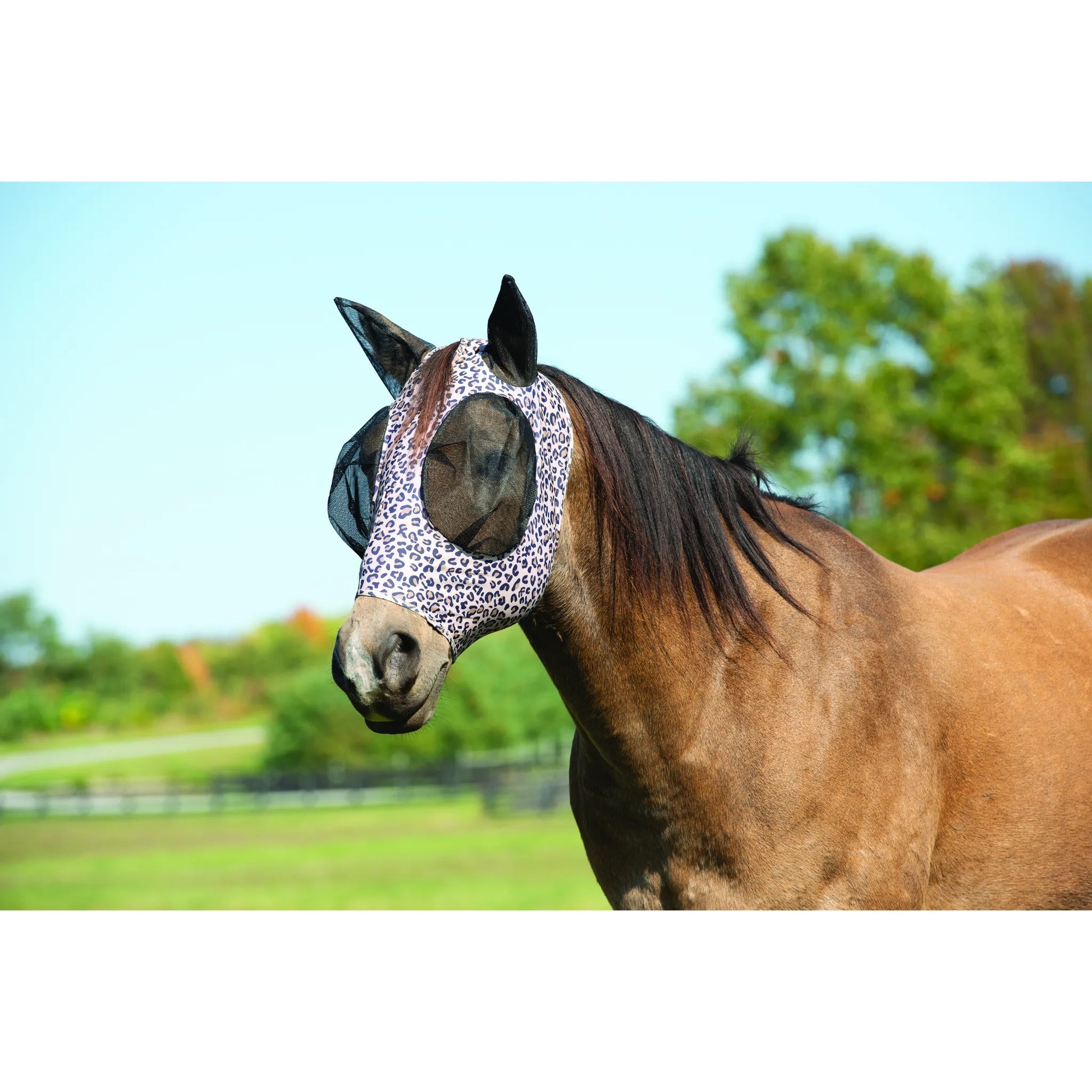 Weaver Leather Lycra Fly Mask in a trendy leopard print worn by a bay horse. This high-quality horse fly mask features breathable mesh eye and ear covers for ultimate insect protection. The stretchable Lycra material provides a snug, comfortable fit to keep flies and pests away. A stylish and functional addition to your horse gear collection, perfect for summer pasture protection.