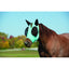 Mint green Weaver Leather Lycra Fly Mask on a chestnut horse, featuring black mesh eye and ear covers for premium pest and UV protection. This lightweight, stretchy horse mask offers a smooth, comfortable fit, preventing irritation from flies and insects. A must-have equestrian accessory for pasture safety and horse health during fly season.