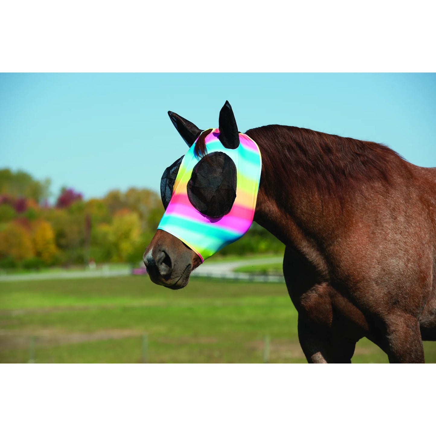 Weaver Leather Lycra Fly Mask in a vibrant rainbow pattern worn by a brown horse in a sunny pasture. This stylish horse fly mask features protective black mesh eye and ear covers to shield against insects and UV rays. Ideal for fly protection and sun safety, this breathable Lycra mask offers a comfortable, snug fit and an eye-catching look, combining ultimate horse protection with a fun, colorful aesthetic for any stable or paddock.
