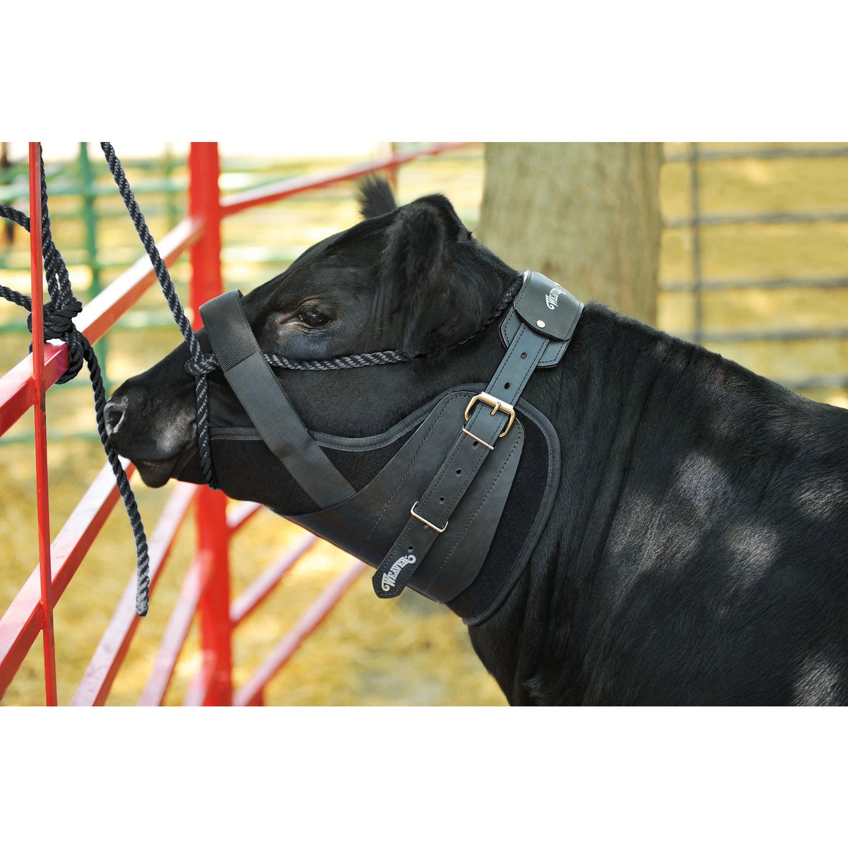 Weaver Leather Neck Sweat System, Black Leather with SBR Neoprene Liner, Black, Large