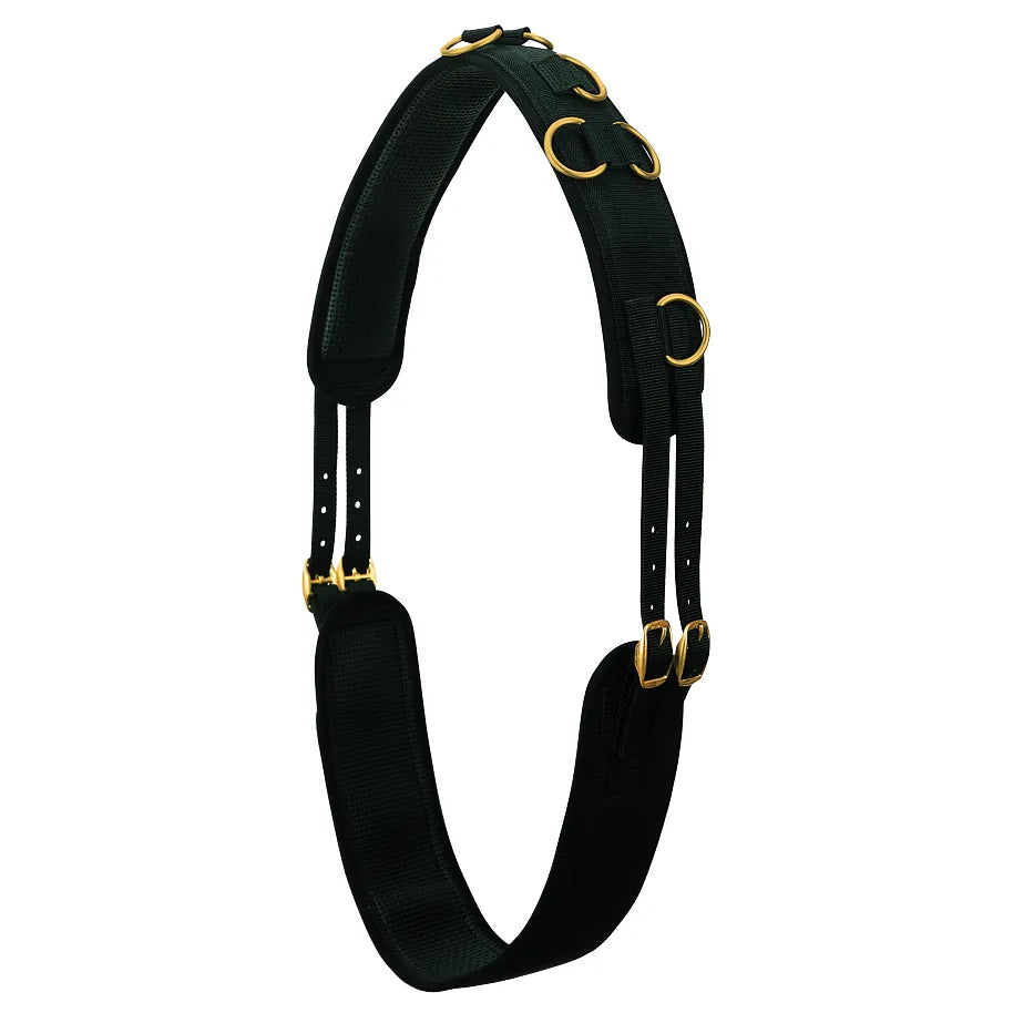 Black Weaver Leather Neoprene Surcingle designed for superior horse training comfort. This professional lunging equipment features plush neoprene padding, multiple brass-plated D-rings for versatile training aid attachments, and adjustable nylon straps with sturdy gold-toned buckles. Perfect for groundwork and improving performance, this high-quality training surcingle offers a secure, customizable fit to enhance your horse's lunging routine.